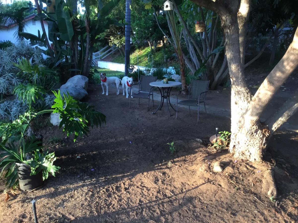 Beautiful New Detached Casita Nestled In Scenic Southern Ca Foothills! Fallbrook Exteriör bild