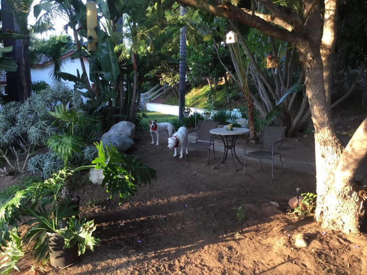 Beautiful New Detached Casita Nestled In Scenic Southern Ca Foothills! Fallbrook Exteriör bild
