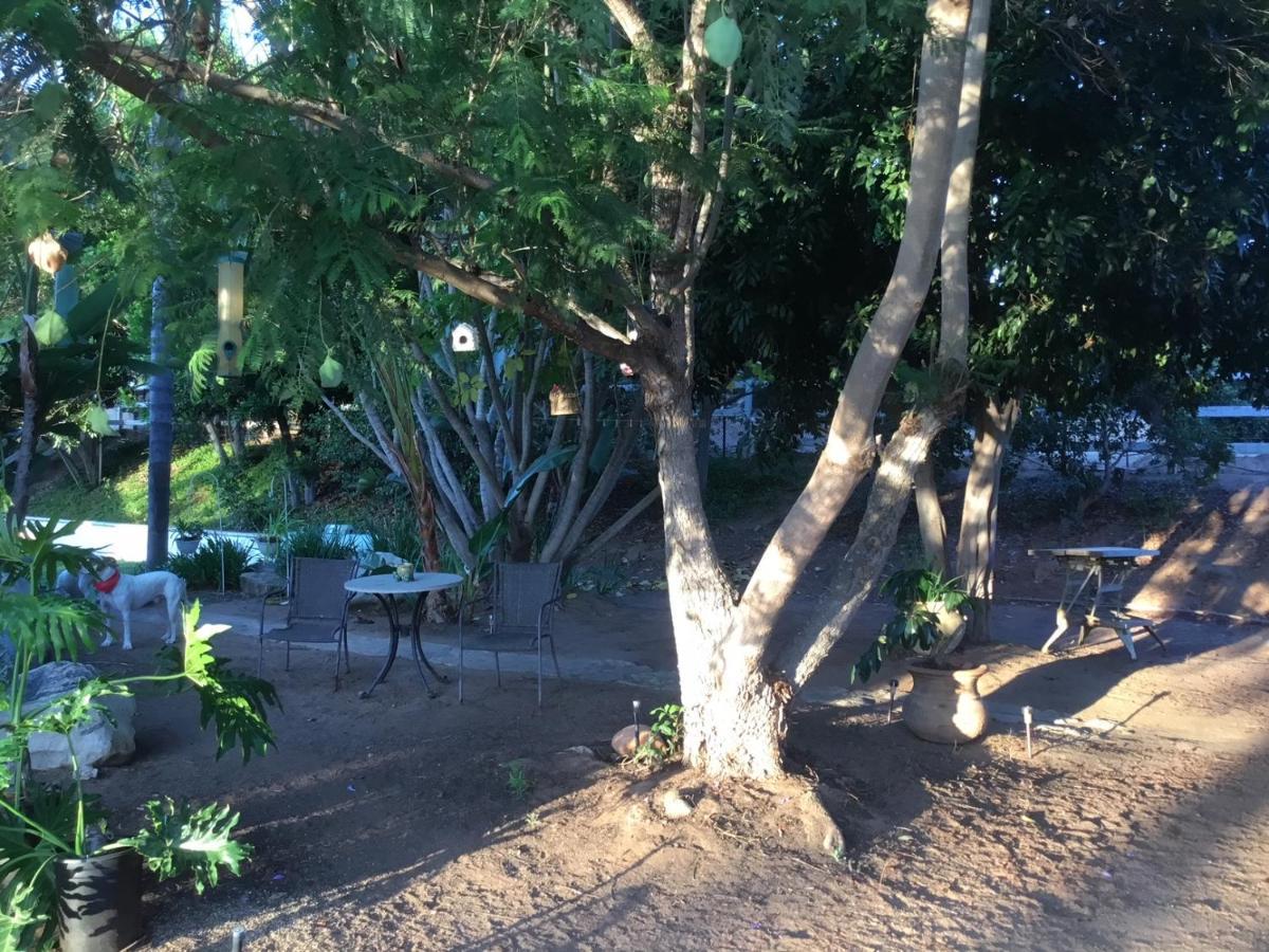 Beautiful New Detached Casita Nestled In Scenic Southern Ca Foothills! Fallbrook Exteriör bild